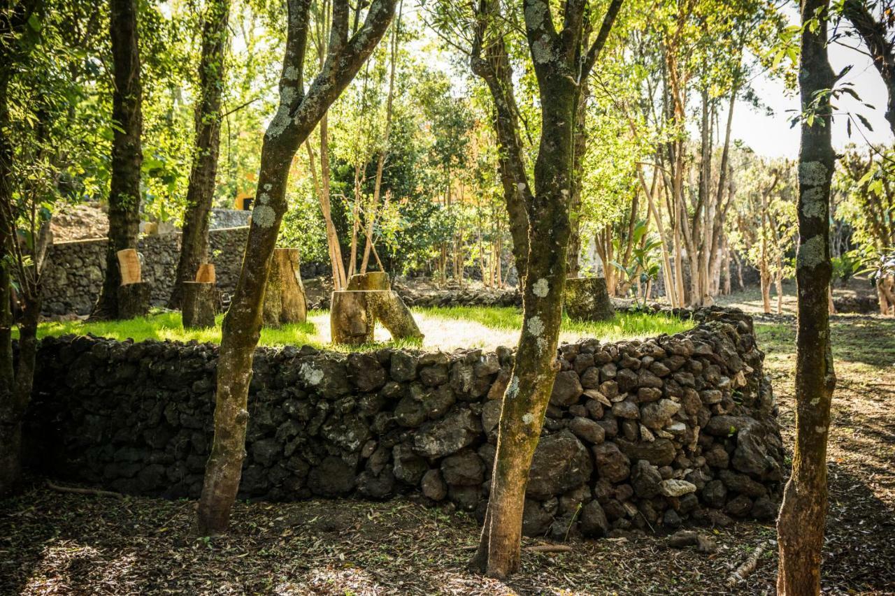A Casa Amarela Holiday home