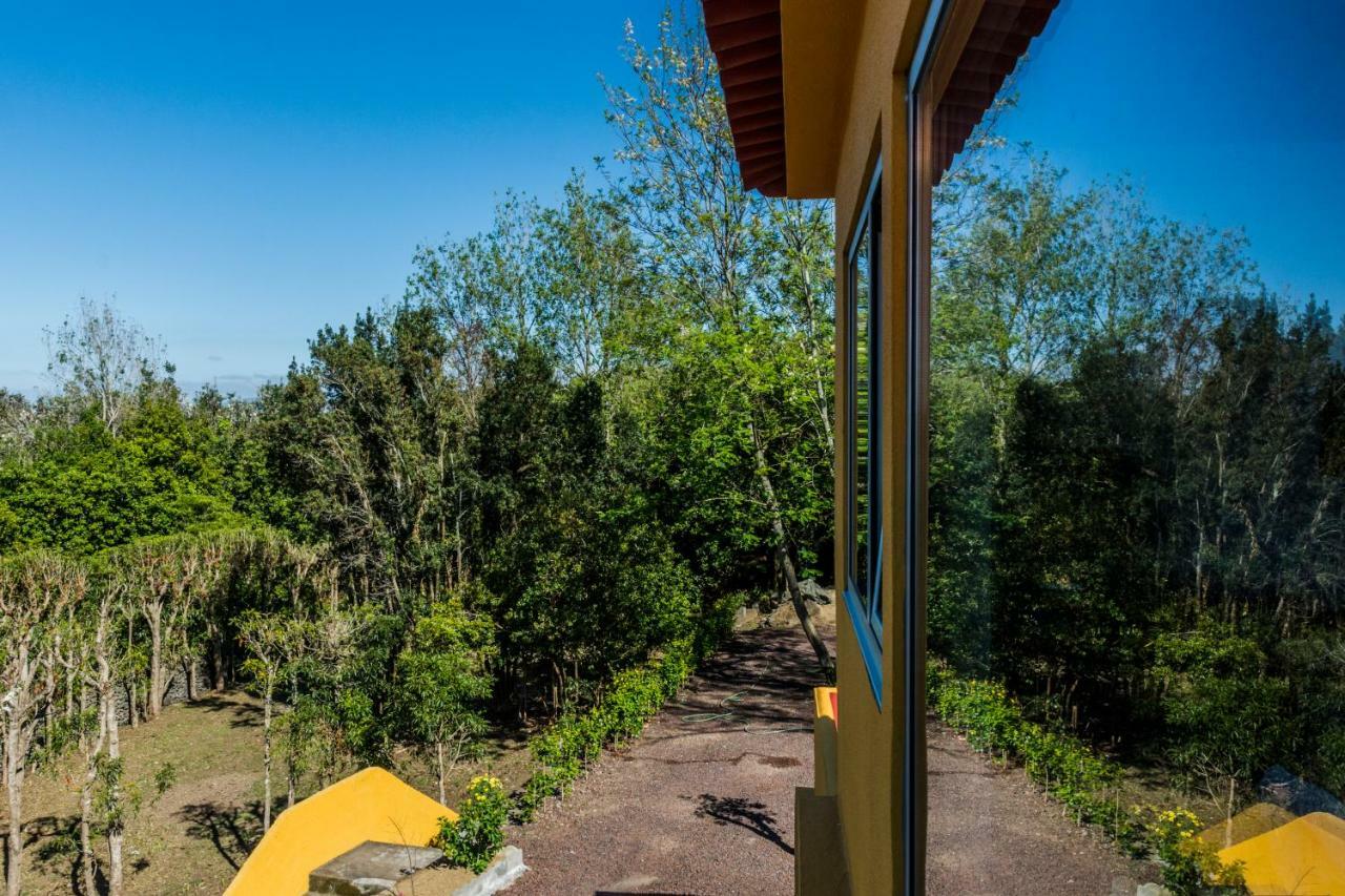 Holiday home A Casa Amarela Capelas